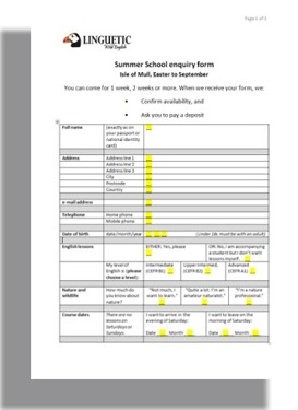 Thumbnail of enquiry form